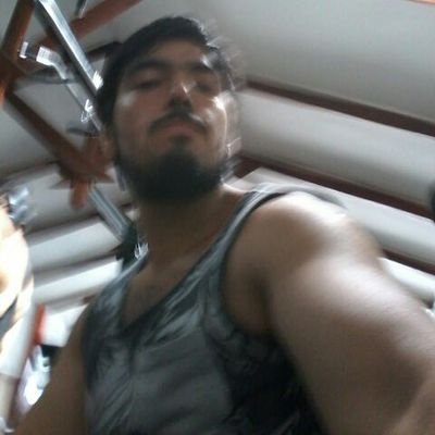 cheotox's profile picture. 