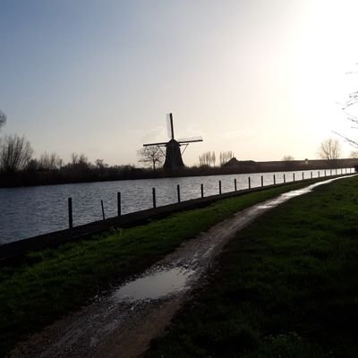 NicoDeJ86133451's profile picture. 