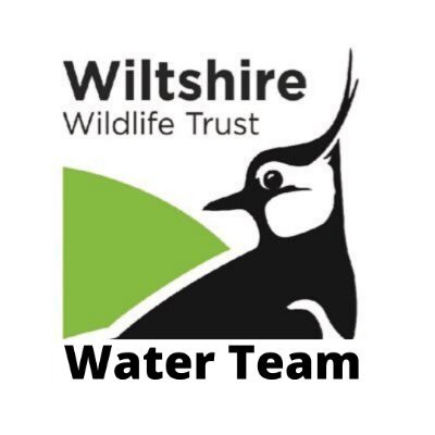 On rivers and wetlands in Wiltshire: wildlife, landscape, environment & project updates from Wiltshire Wildlife Trust’s Water Team.