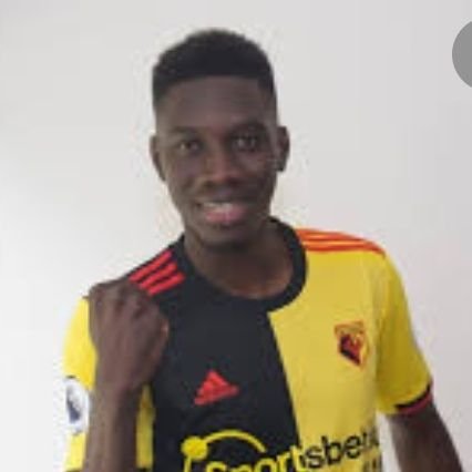 #Watfordfc fan and lover of sports
Still waiting for #footballindex justice