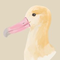 ヘーバー (@in_yellow88) 's Twitter Profile Photo ヘーバー (@in_yellow88) 's Twitter Profile Photo