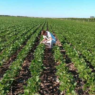 GiuliRoatta's profile picture. ing agrónomo 🌱🌱 - I+D en drones agrícolas