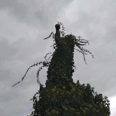 amissmelissa's profile picture. 📚 Reader ✏️ Writer