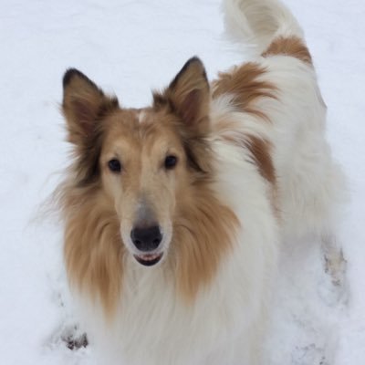 Lufnissy's profile picture. 