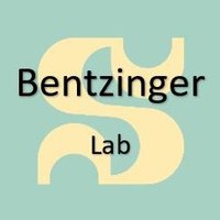 Bentzinger Lab(@BentzingerLab) 's Twitter Profile Photo