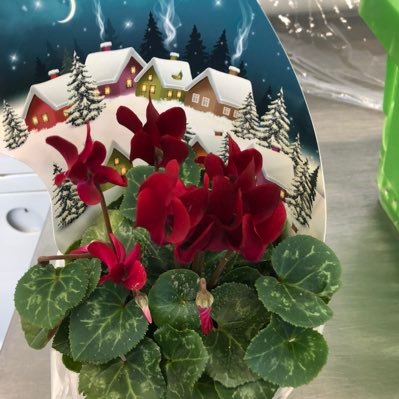 WjEnwBczaEhmXcP's profile picture. 