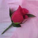 Dan Vickers - @caterhamflorist - Twitter