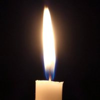 Carol Fellingham #FBPA #FBPE 🌻🇺🇦💙 (@caroljfw) 's Twitter Profile