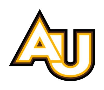 Get an education in music that hits all the right notes with your degree from Adelphi!