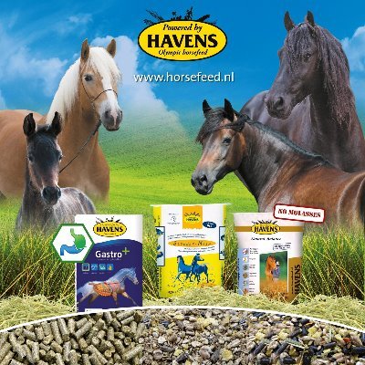 HAVENS Horsefeed-Founded in 1845-is a leading brand in equine nutrition and horsefeed. stockists needed #Ireland bringing an Olympic quality feed to your yard.