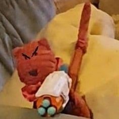 tattytigermoth's profile picture. Probably not mad.  She/her.