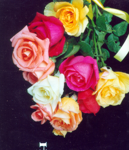 kadarkaja2011's profile picture. https://t.co/VmsRDBdqyO