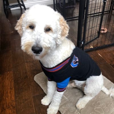 vh4life's profile picture. 