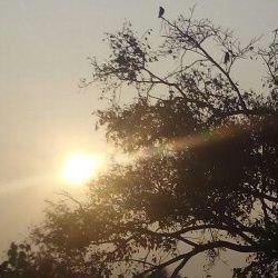 OnlineExamstudy's profile picture. online exam preparation