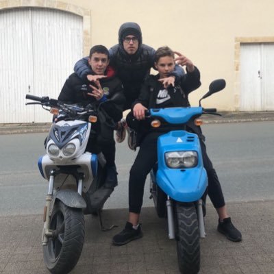 Y&W🦊