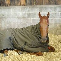 Medicean Man (@mediceanman) 's Twitter Profile