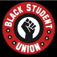 McMurry Black Student Union (BSU)βπ½ (@mcmurrybsu) 's Twitter Profile