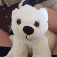 Logan Milder (@loganmilder) 's Twitter Profile