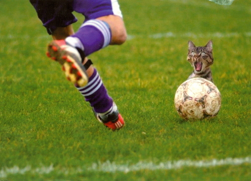 theunsmalan's profile picture. I am a 40 year old wildlife photographer, hunter and conservationist for the rest I am a bit of a nomad....and am trying to figure out this online thing.