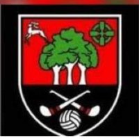 Truagh Ladies (@truagh_lgfa) 's Twitter Profile