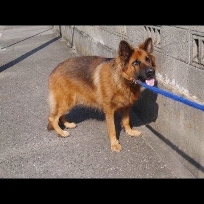 tantan12301's profile picture. 