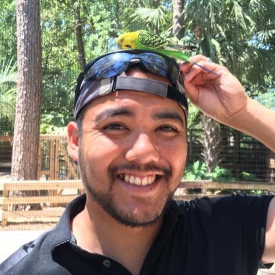 Gabtiger's profile picture. 