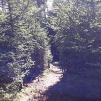 Christian Michel (@pichel70127044) 's Twitter Profile