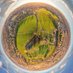 Zetland Park Regeneration Project (@zetlandpkregen) Twitter profile photo