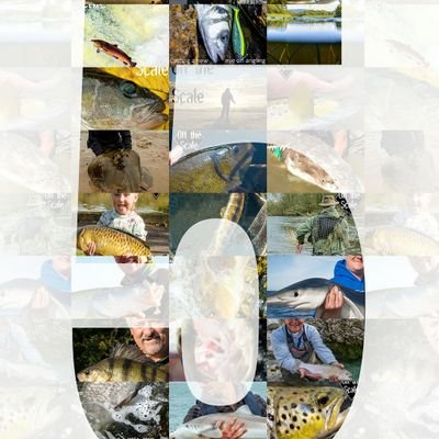 Ireland's #1 angling magazine since 2015. DM or email editor@offthescaleangling.ie 🎣 Printed version is coming soon... 🙏👀