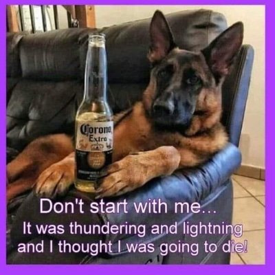 jamesn9515's profile picture. Pilot