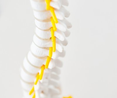 Webb Chiropractic