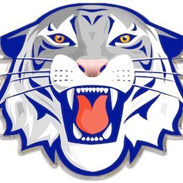 GoTigers247 Profile Picture