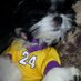 Gary J (@garyjoh63850227) Twitter profile photo Gary J (@garyjoh63850227) Twitter profile photo