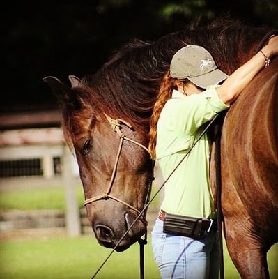 Internationally recognized equine behavior specialist Caroline Beste's holistic approach merges the Art of Horsemanship & Classical Dressage with Taoist ways