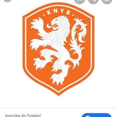 zeldaholandesa's profile picture. ⚫🔴Salvador, meu amor! Rio, minha paixão!