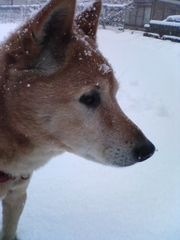 _nAveON's profile picture. 渡辺