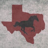 Lady Stangs Basketball (@ladystangsbask1) 's Twitter Profile Photo