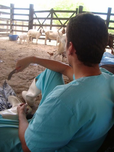 gabrielrosas_'s profile picture. 