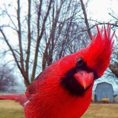 DianeG030708's profile picture. 