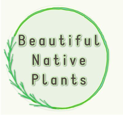 Native plants are not only beautiful but critical to our health and safety in the future. Helping people plant natives. https://t.co/ipmnC49Xbe
