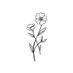 Daisy Chain (@klscutt) Twitter profile photo Daisy Chain (@klscutt) Twitter profile photo