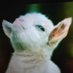 hi21 (@hi2118132476) Twitter profile photo hi21 (@hi2118132476) Twitter profile photo
