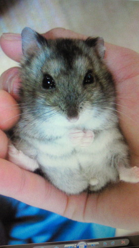 aibm1manaarashi's profile picture. 嵐、CHEMISTRY、EXILE大好き(^O^)