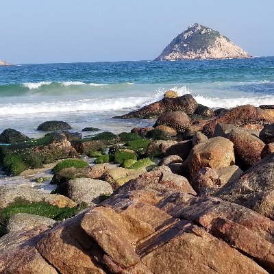 Neethulibra's profile picture. photography cakes Music