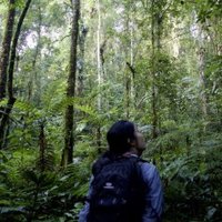 Yoonjung Yi 이윤정 (@yoonjungyi) 's Twitter Profile