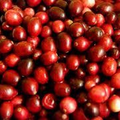 cran package updates on twitter cran updates desctoolsaddins