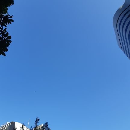 a_nishi_w's profile picture. 脚本家です。scriptwriter『BORUTO』『拝み屋怪談』等