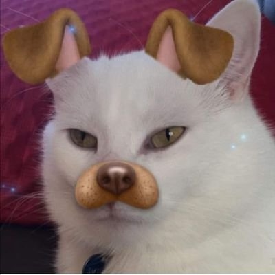 Skyz.さんのプロフィール画像