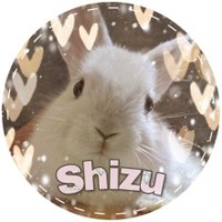 子うさぎのしず🐰 (@usasizu) Twitter profile photo