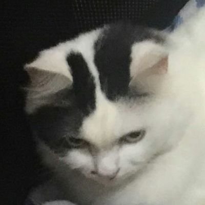 marmaramarm's profile picture. pikirannya yg error._.